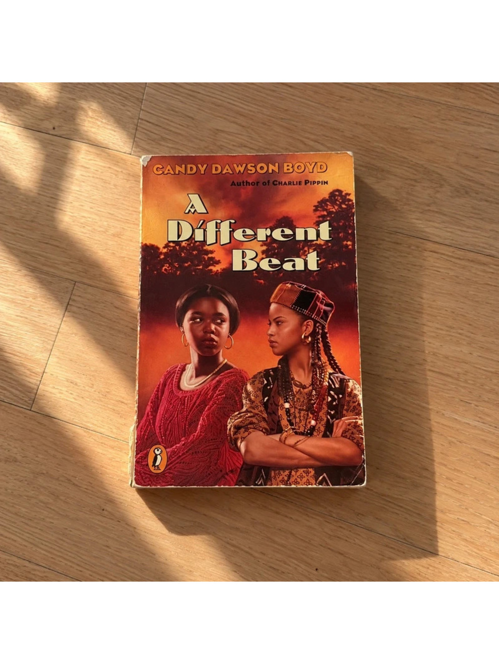 A Different Beat Candy Dawson Boyd 1996 Puffin Paperback African American YA